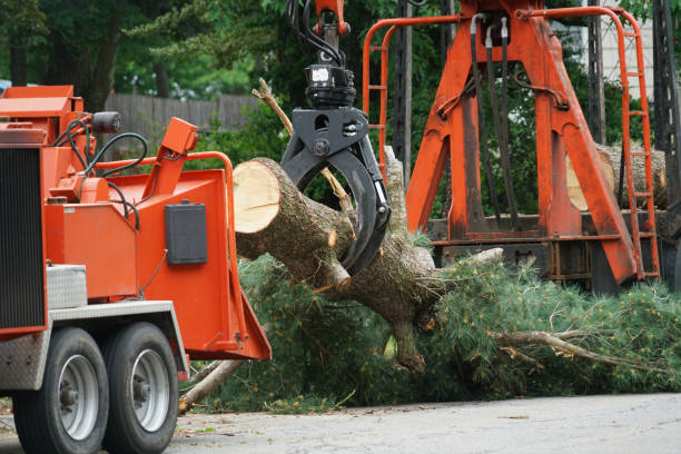 Mulching Services in Gosport, IN