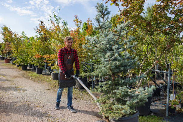 Professional Tree Services in Gosport, IN